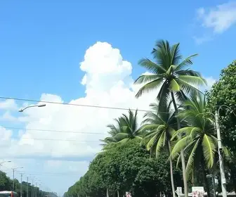feriado de Finados